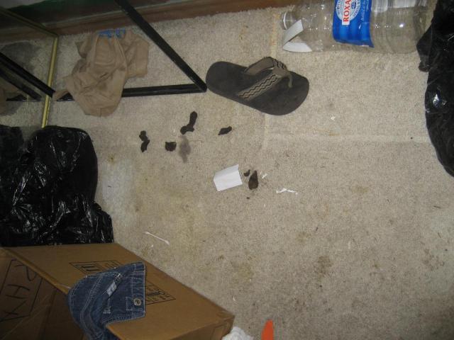 It's hard to believe that this pad in Phoenix was on the market when this photo was taken. What you see in this photo is dog poop. Yes, dog poop! And it's included in the price of your house...