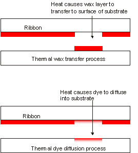 Thermal transfer